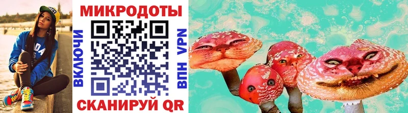 Купить  Далматово  Галлюциногенные грибы мухоморы 